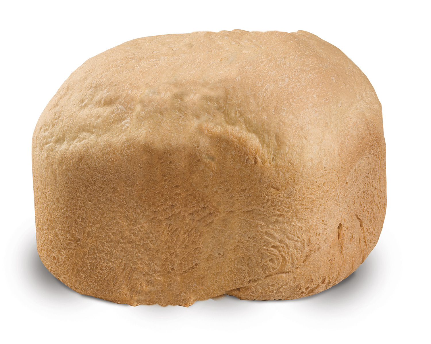 Bread and Dough Maker